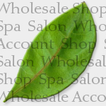 salons and wholesale