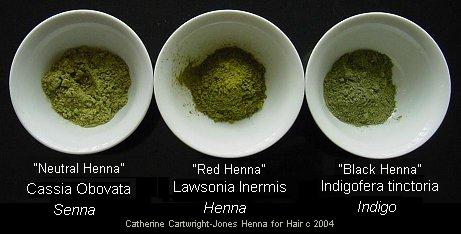 Cassia obovata, henna and indigo
