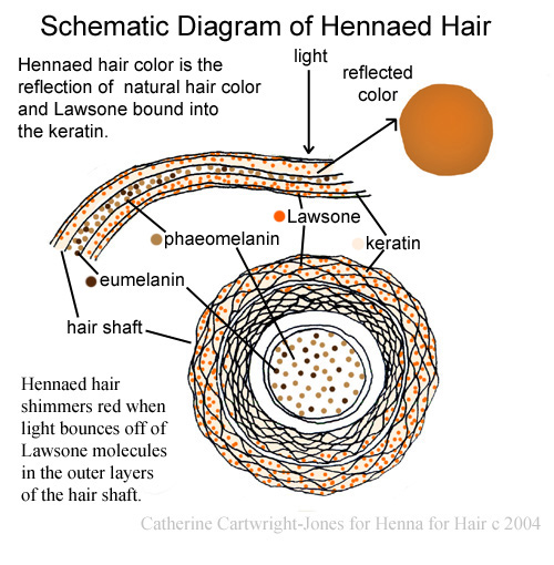 hennaed hair
