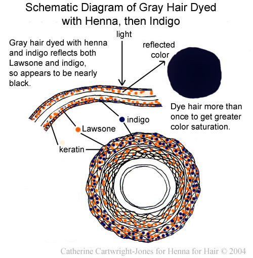 Henna for Hair: Dying gray hair black with henna and indigo: schematic  diagram and explanation