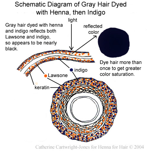 gray hair with henna and indigo