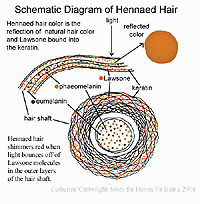 hennaed hair