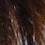 debbieb