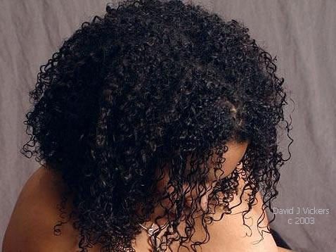 gwyndjvhair1s.jpg