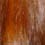 Lauren's hair